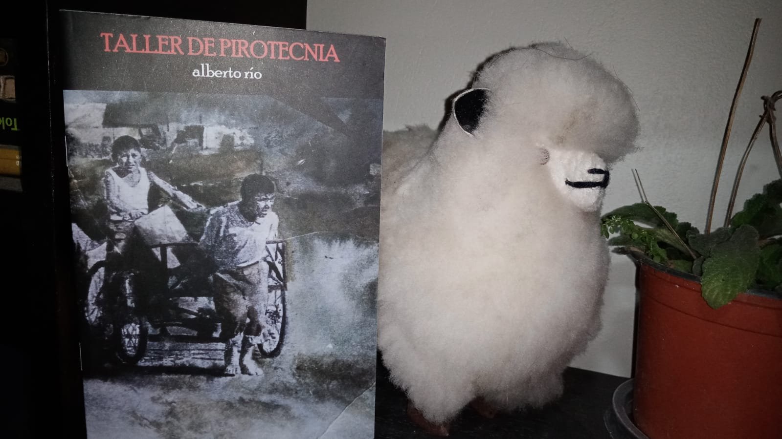 Taller de pirotecnia: el manso rumor de Alberto Río | Reseña