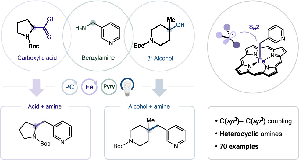 Acid + Amine ≠ Amide