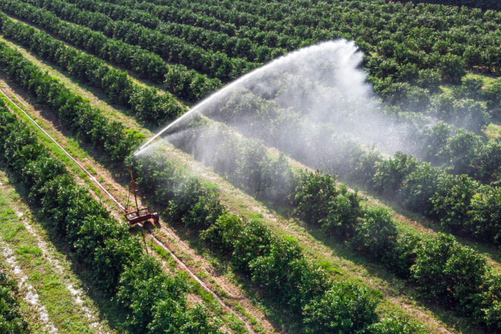 💦 Pouring cash on dry fields