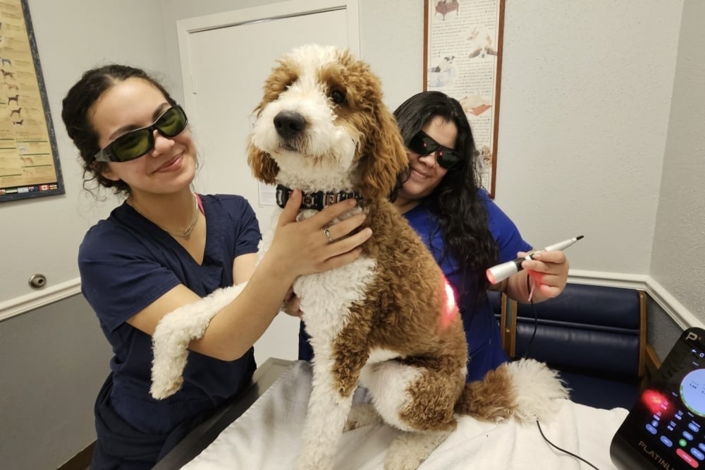 HTX-CYF: Impact 3/30/2026