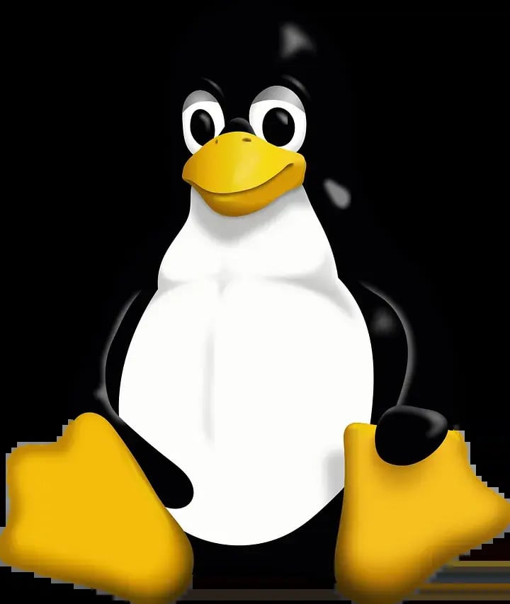 15 Fun Linux Command Line Programs to Spice Up Your Terminal.