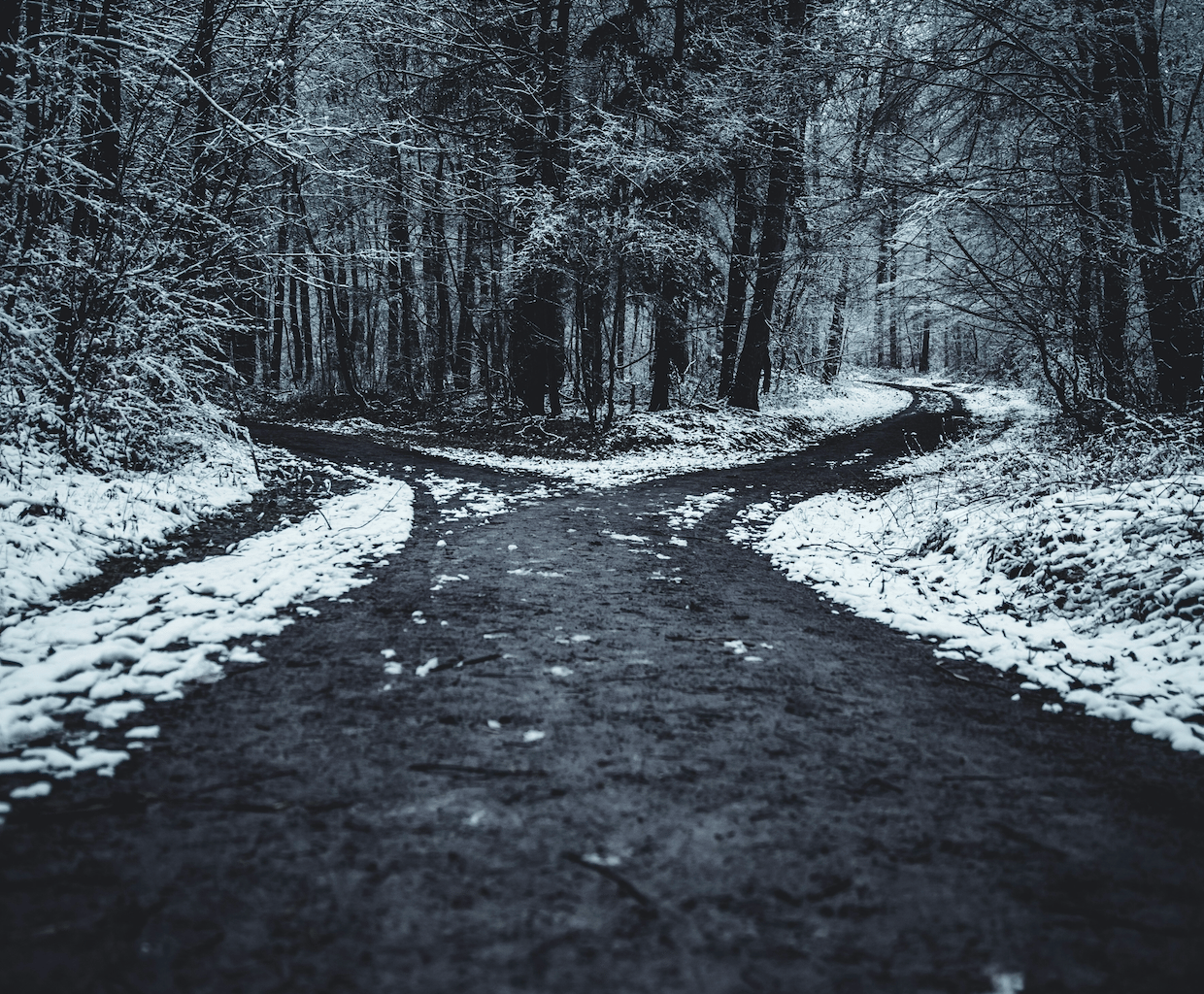 Field Note 6: "I took the one less travelled by, and that has made all the difference."