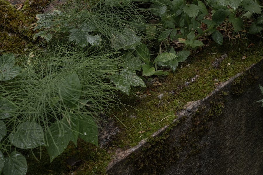 La tierra no es de quien la trabaja