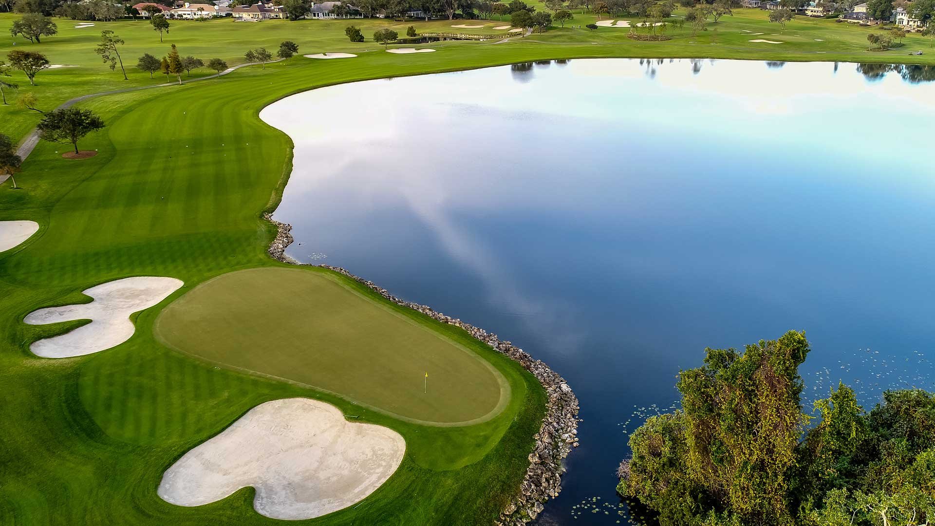 Preview & Picks: AP Invitational