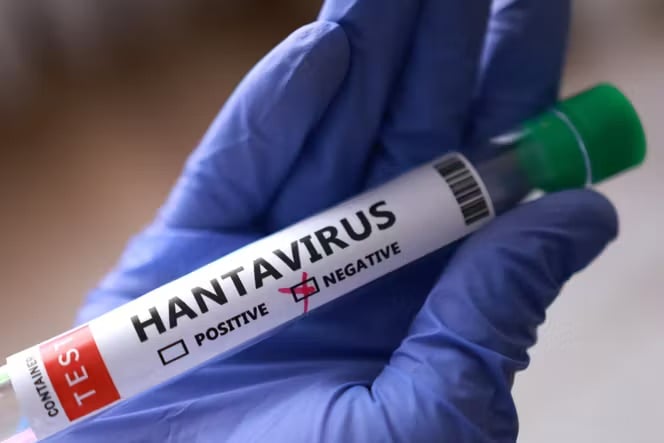 Flambée boursière sur l’hantavirus