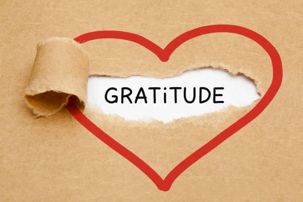 Gratitude Rewires Your Brain: Unlock a Happier Mind