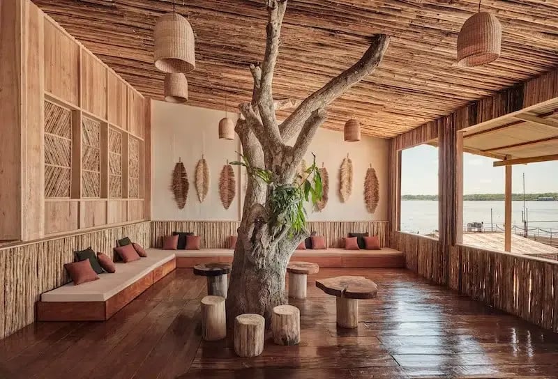 Exploring the Amazon River on an Eco-Luxury Cruise