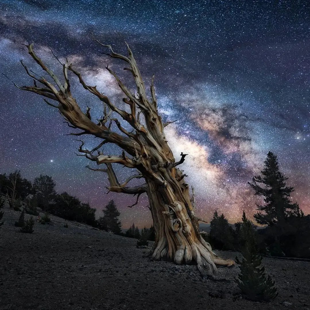 Gorgeous Nighttime Scenes by Marcin Zając