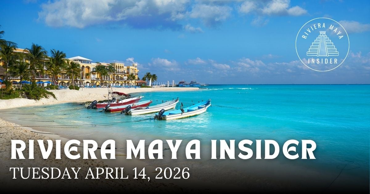 🌴 A Rare Crocodile Attack Shocks Cozumel