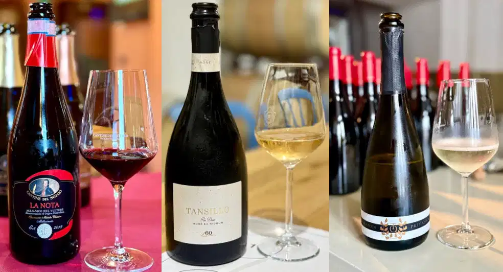 Vulture Sparkling Wines, Dogs in Tasting Rooms, the $5 Wine vs the $100 wine, and much more...