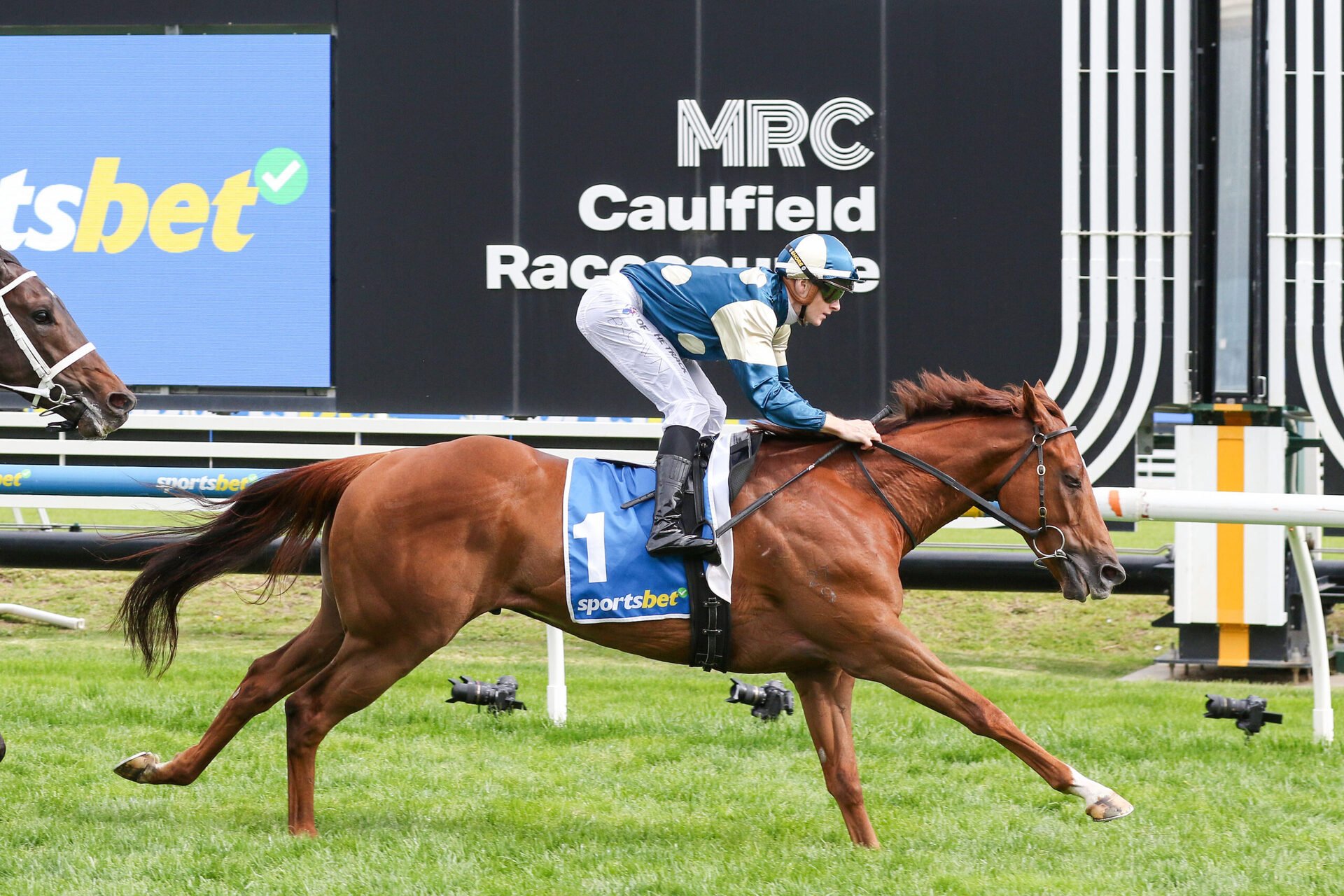 One Star Confirmed, Others Emerging