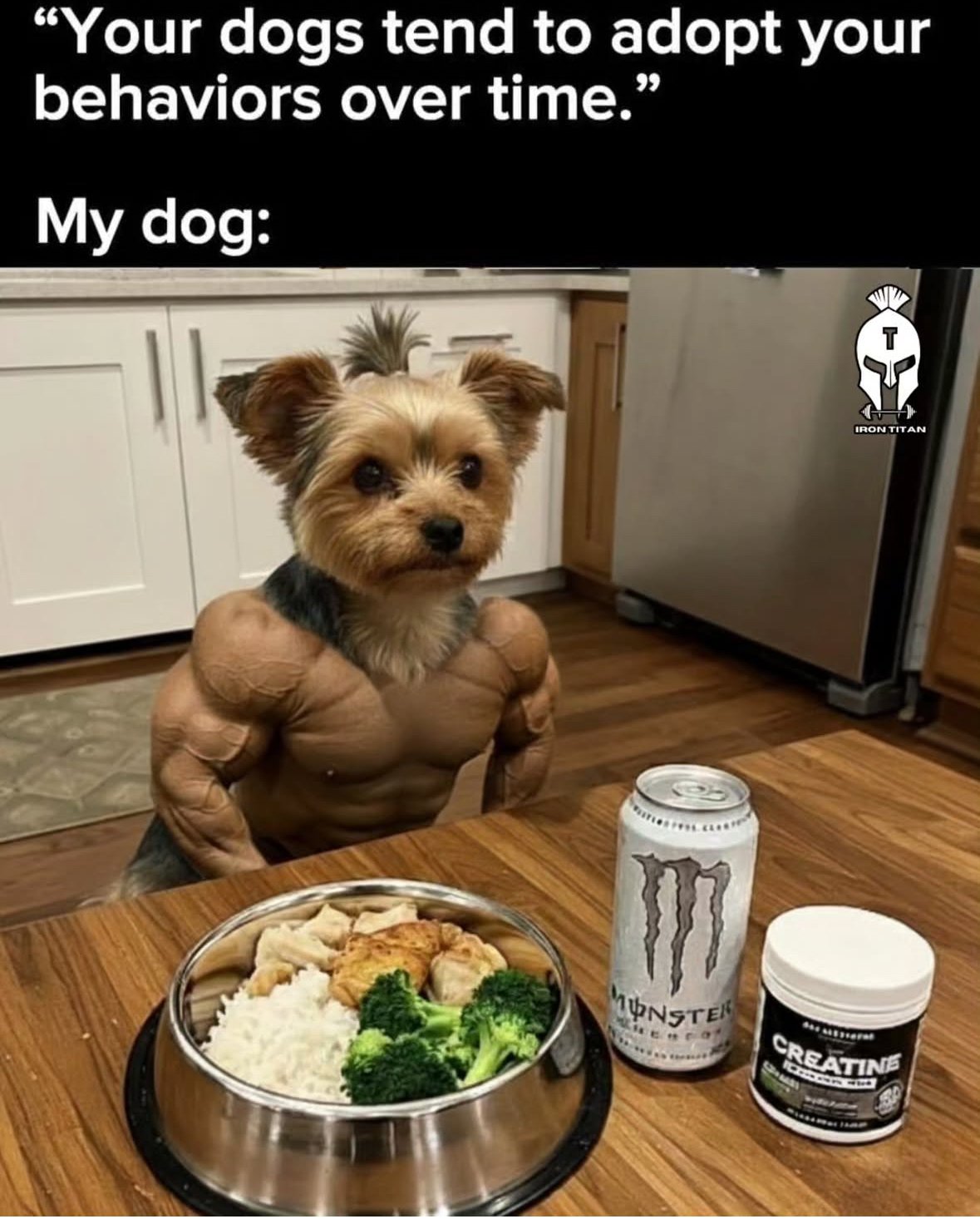 Edition #130 | Protein chicken nuggets and concerns of lead in protein powders