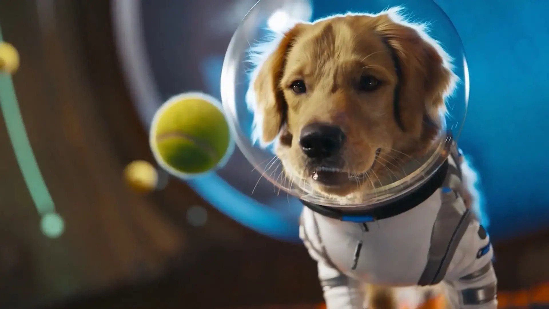 Why Sora is the hottest app around