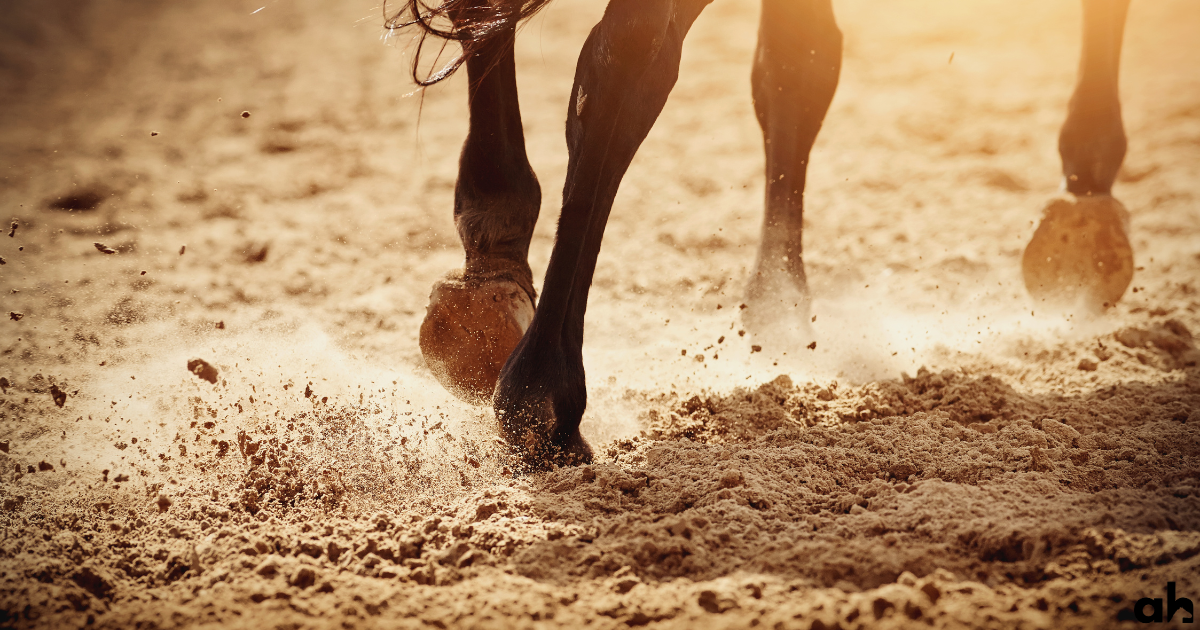 How Do Horses Trim Their Hooves In The Wild? [A Quick Overview]