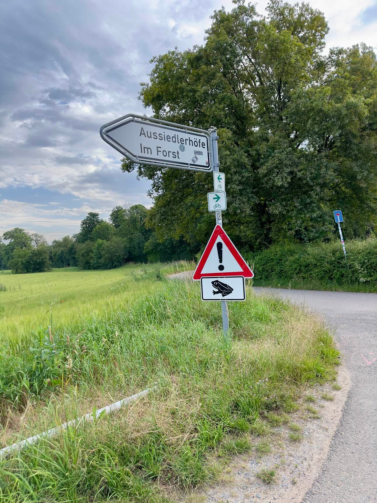 Artifacts, Day Zero Journey, B2B2C Growth, Vancouver Founders Day, and More