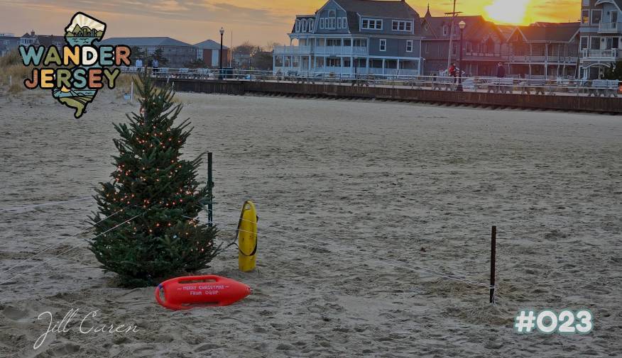 🌻Things To Do in Jersey 12/5-12/7