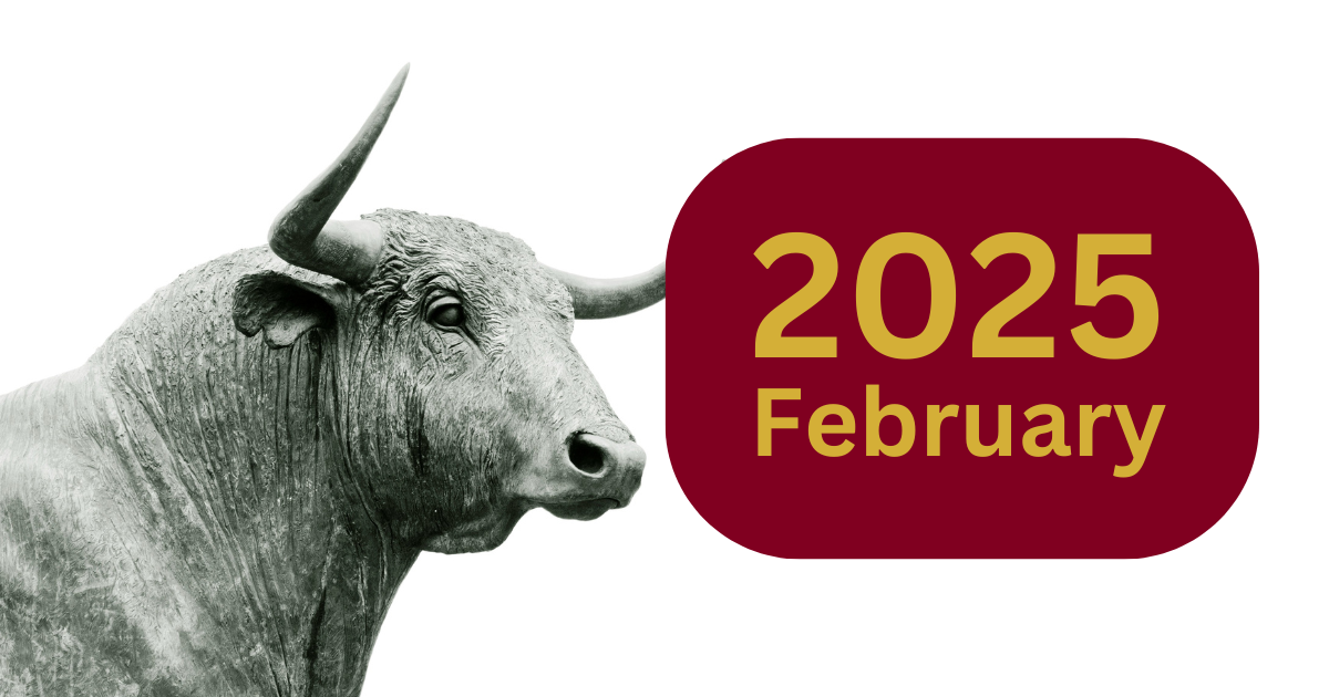 February's Stock Picks