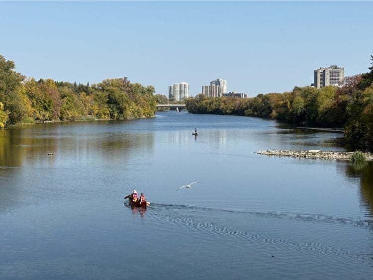 Alta Vista residents frustrated by NCC’s refusal to build Rideau River dock