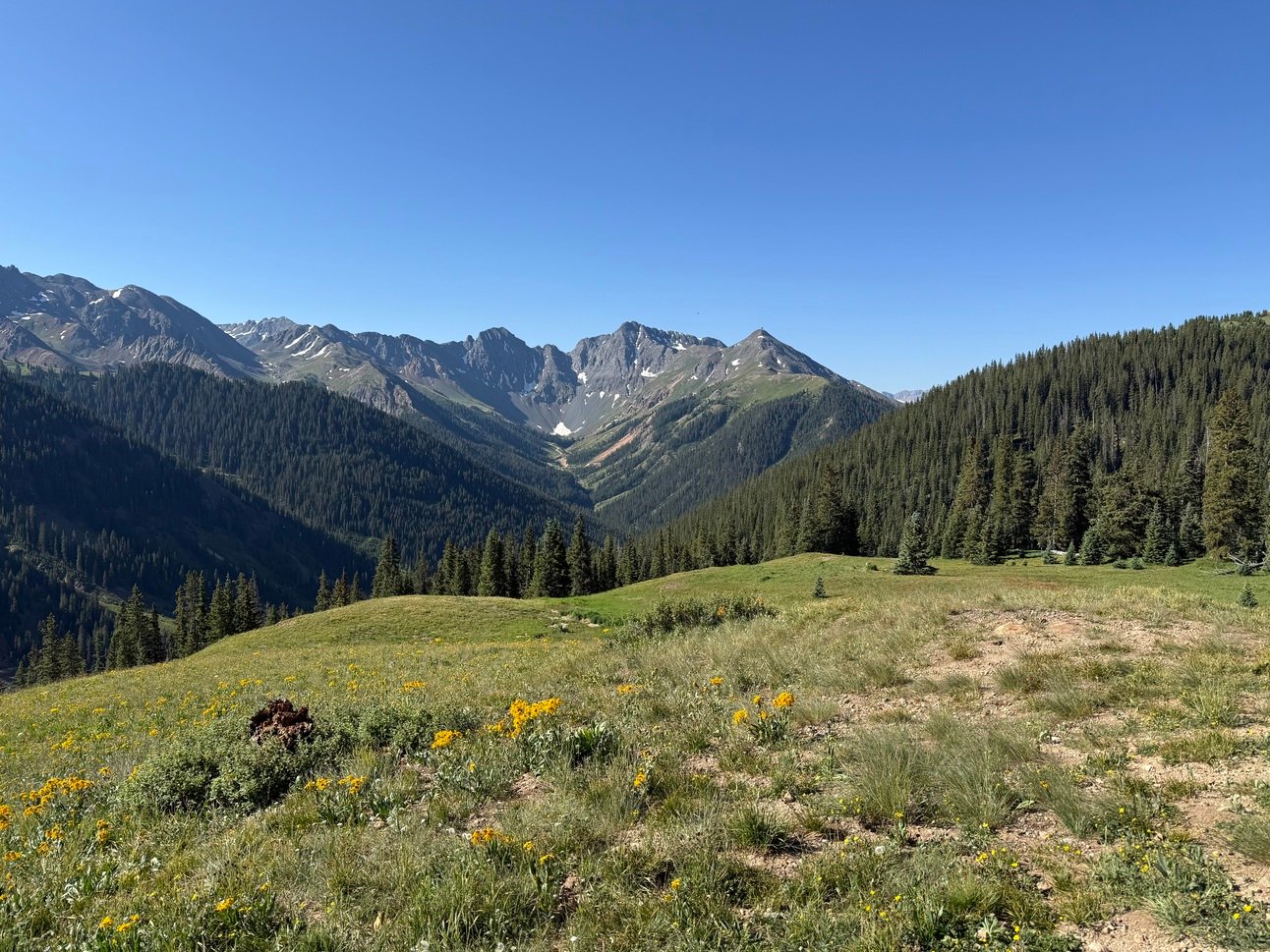 Above the Treeline