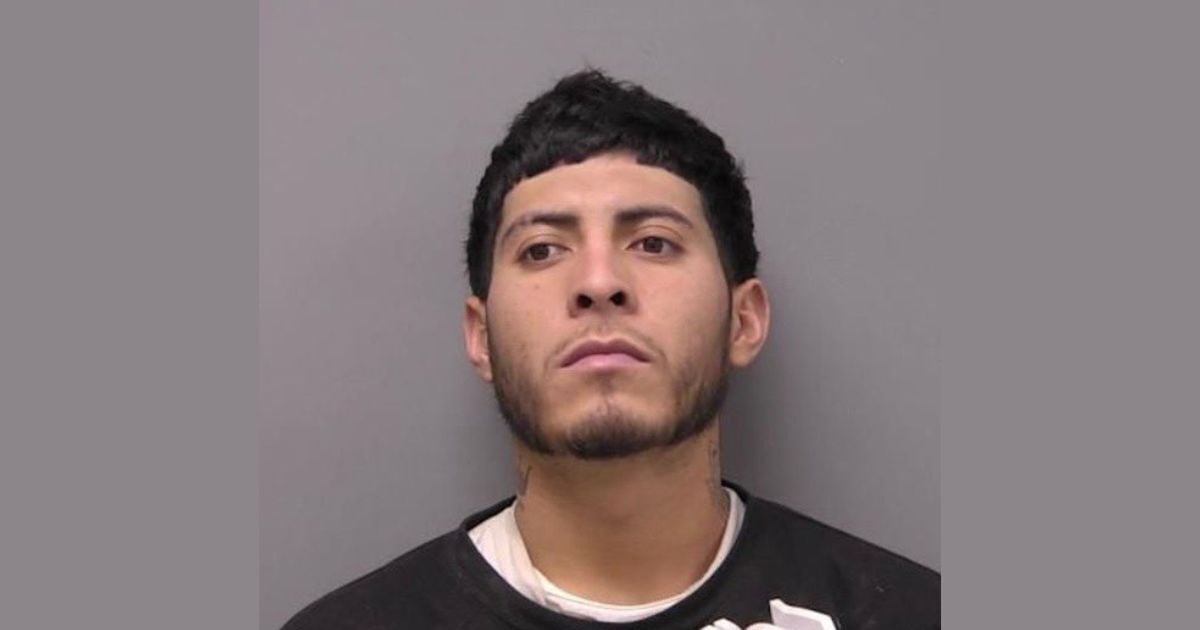 Illegal Immigrant Gets Maximum Sentence for Brutal ICE Assault