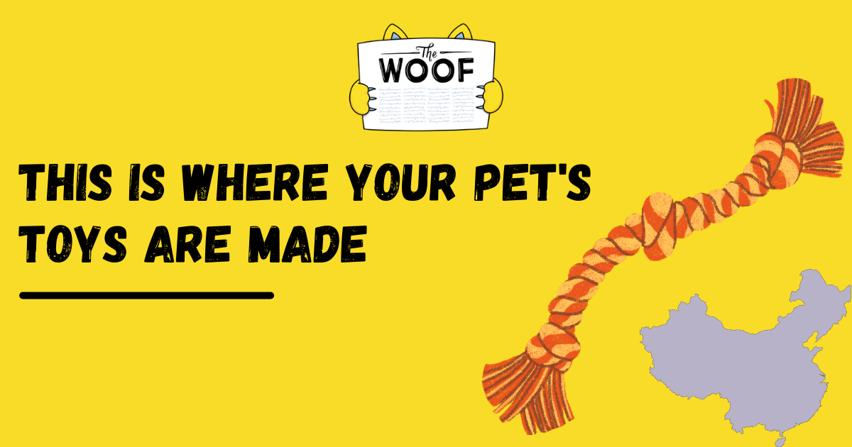 This Is Where Your Pet's Toys Are Made