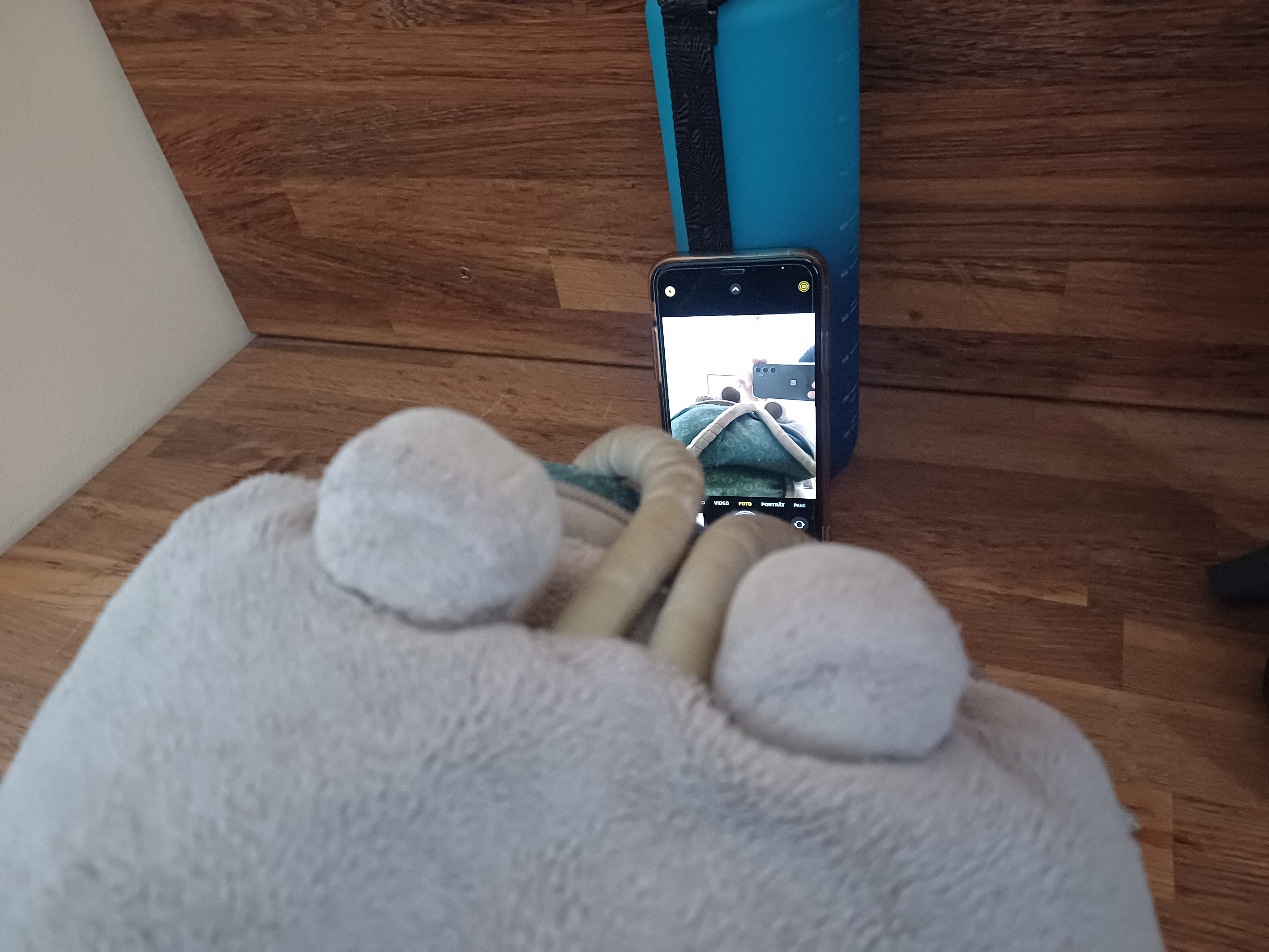 Small Beings Rest. Maumaus Digest.