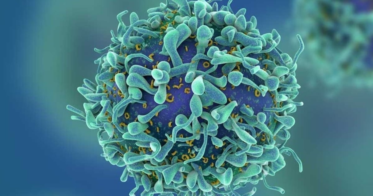 Scientists Engineer Bacteria to Destroy Tumors From the Inside Out