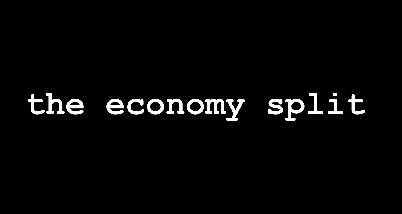 the economy split
