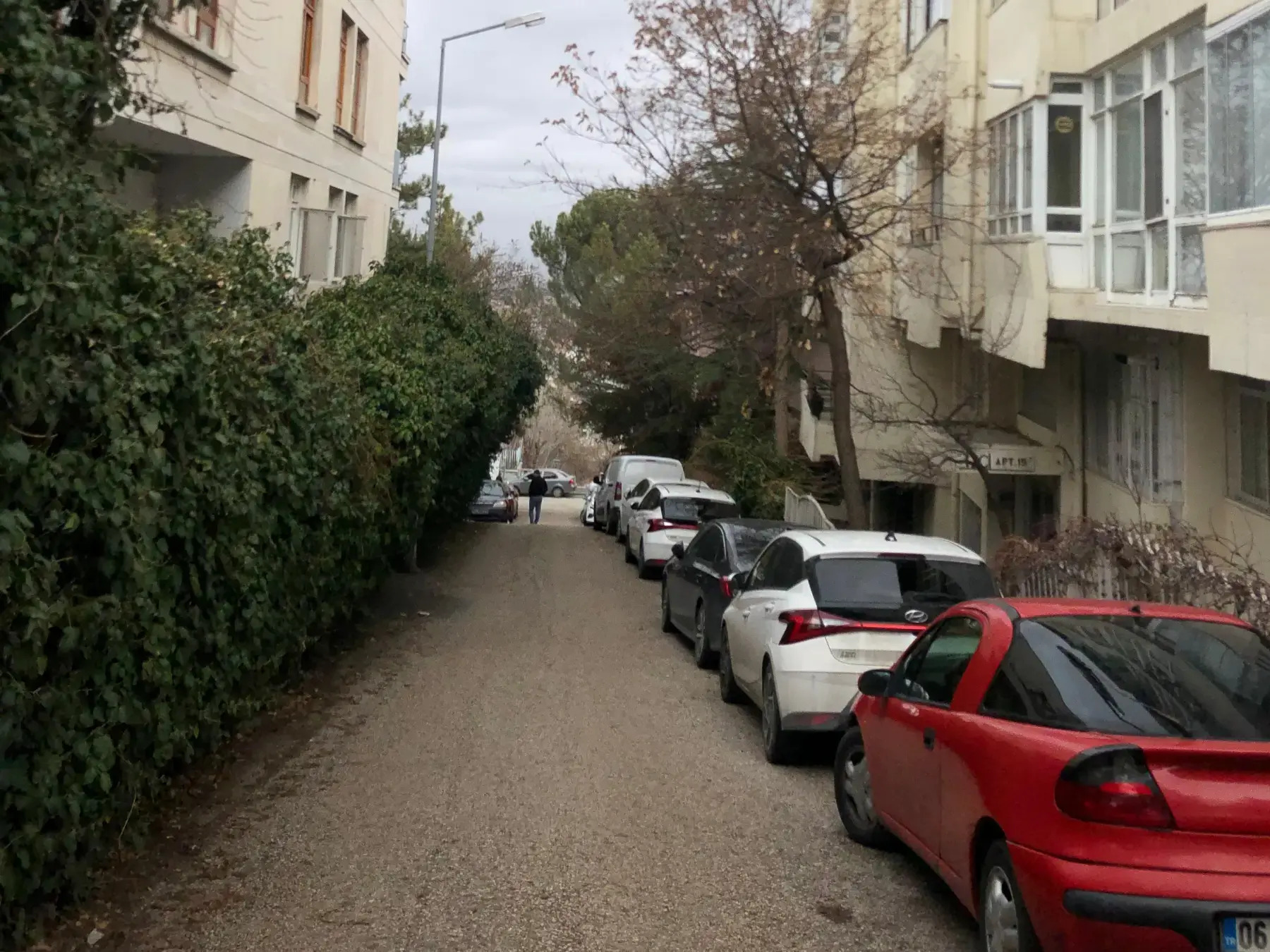 filAnkara #040: 5 Şubat-8 Şubat 2026