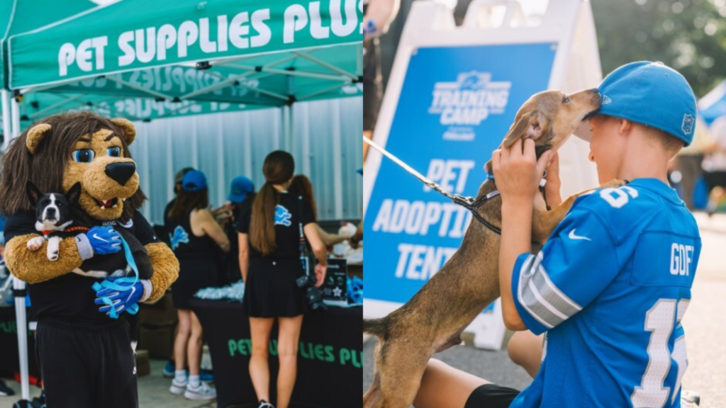 Pet Supplies Plus and Wag N’ Wash Near Milestone of 20,000 Pet Adoptions in 2025