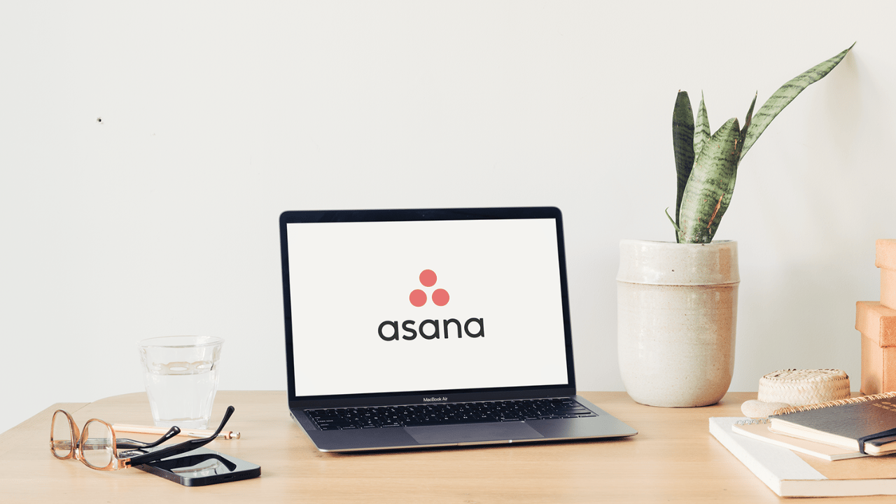 Asana BFF: December Newsletter