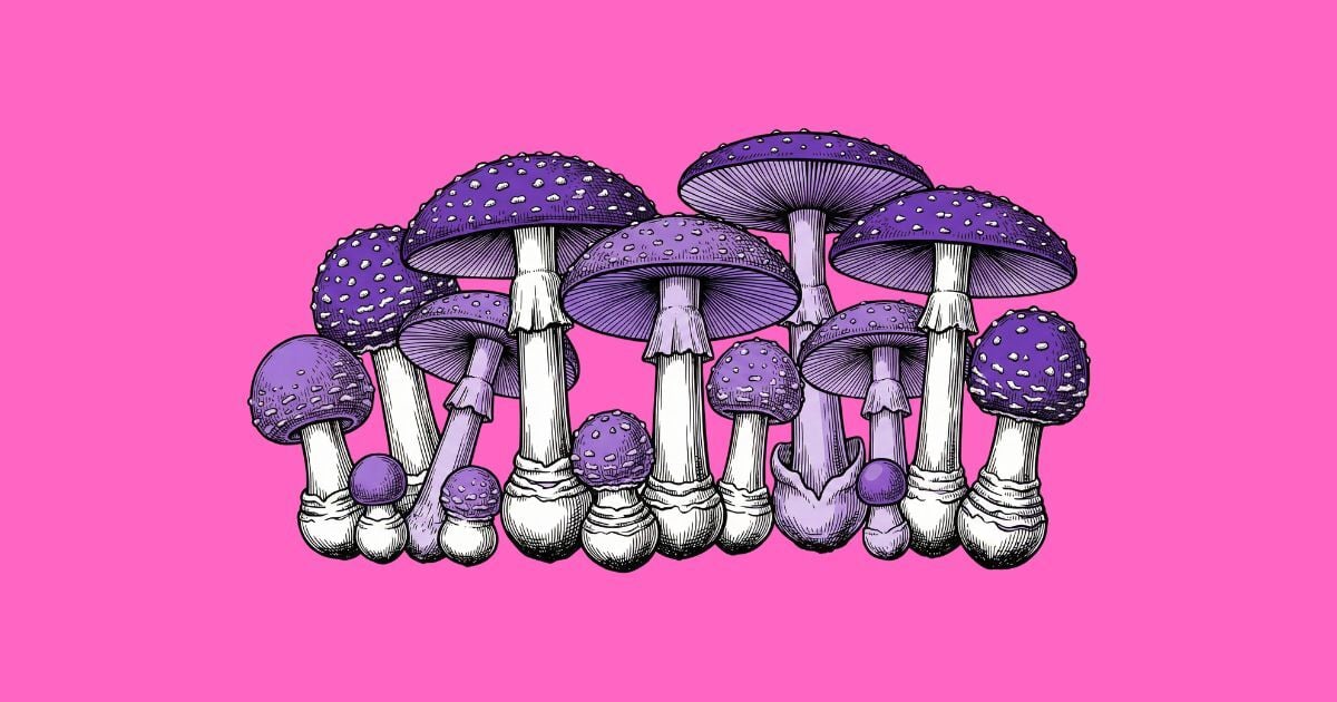 Amanita muscaria: chamanes siberianos y la psicodelia navideña