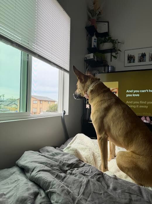 Day 1 of My 21-Day Fast (And Why I'm Not Calling Anyone)