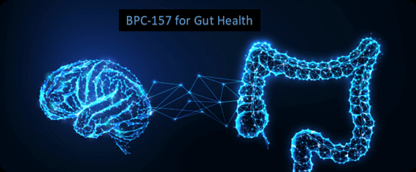 BPC-157: A Promising Peptide for Gastrointestinal Healing