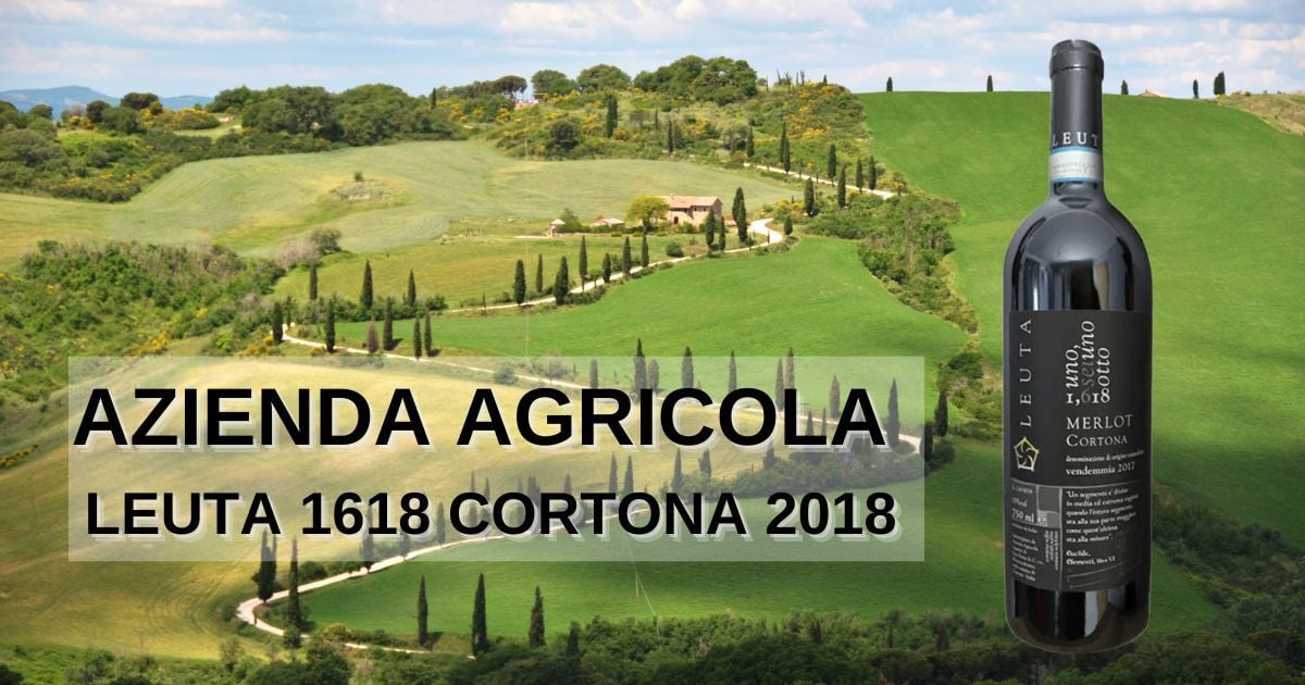 Azienda Agricola Leuta 1618 Cortona DOC 2018 Wine Review 🍷