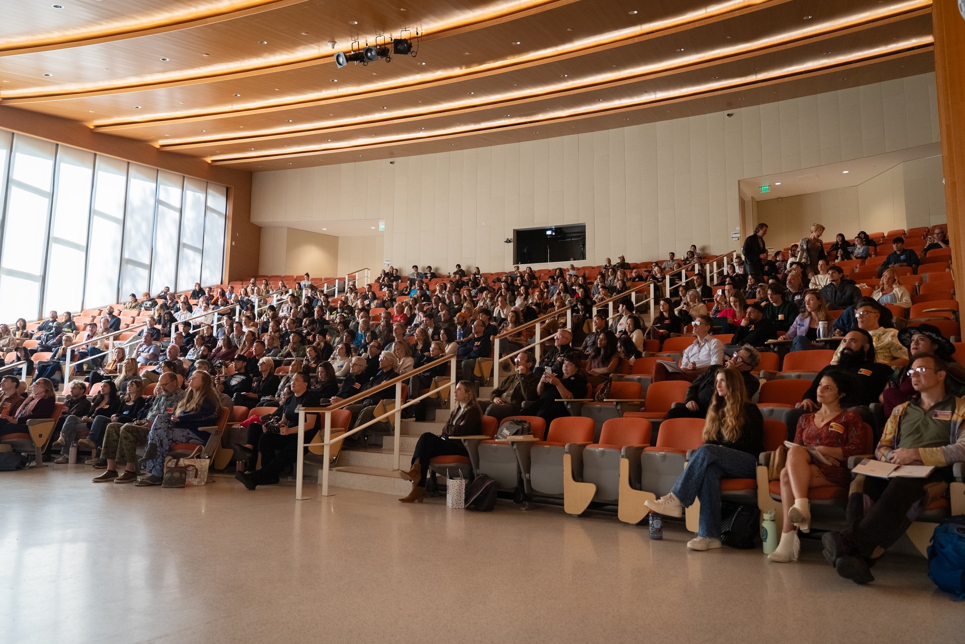 Can Psychedelics Improve Your Problem-Solving Skills?