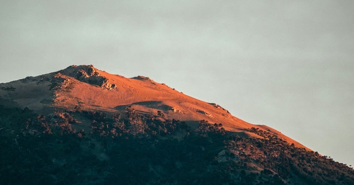 Capital's Great Migration: From Bitcoin ETFs to Silver's $110 Surge