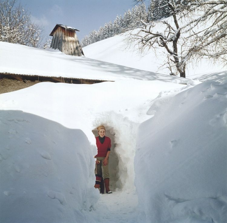 The Read of the Year