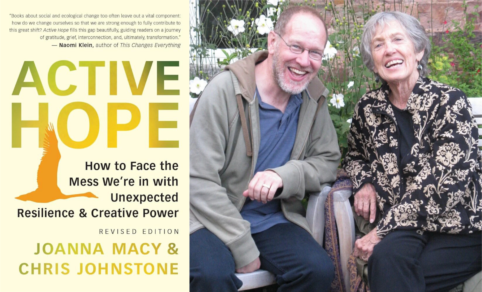 A Reflection on the Wisdom of Active Hope