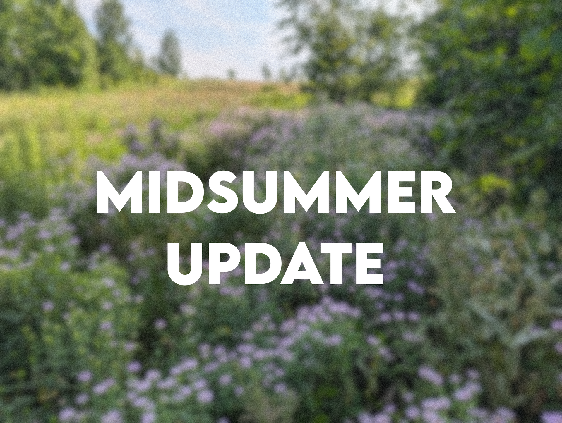 Midsummer Update