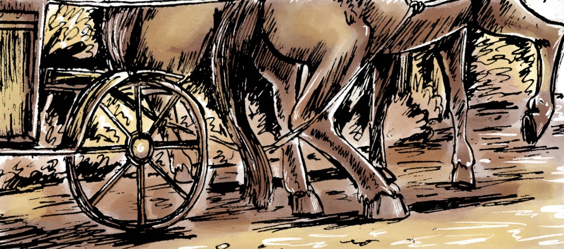 Sneak Peek of a New Blue Fox Series