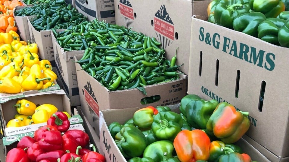 Fighting food inflation with heavily discounted fruits and vegetables while giving back to the community