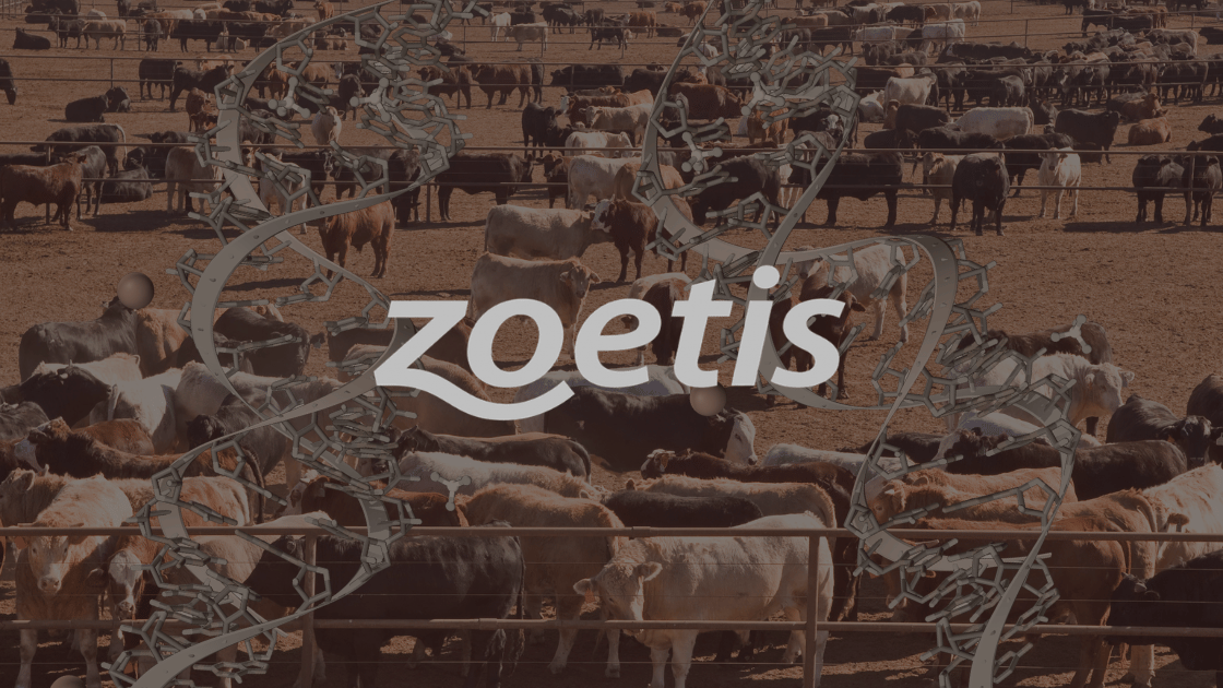 Precision and Power: The Strategic Logic Behind the Zoetis-Neogen Deal