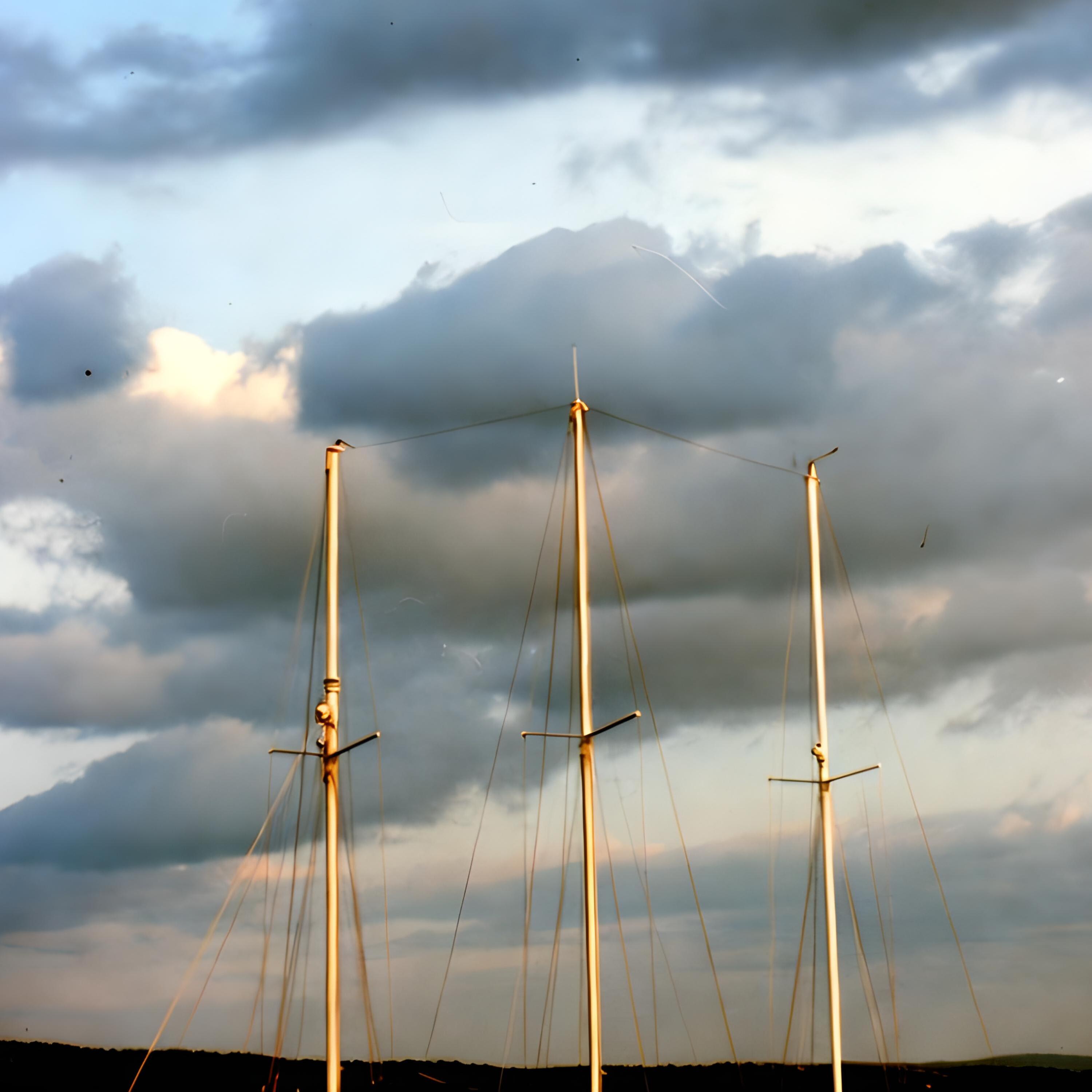 Arbee's Newsletter 12