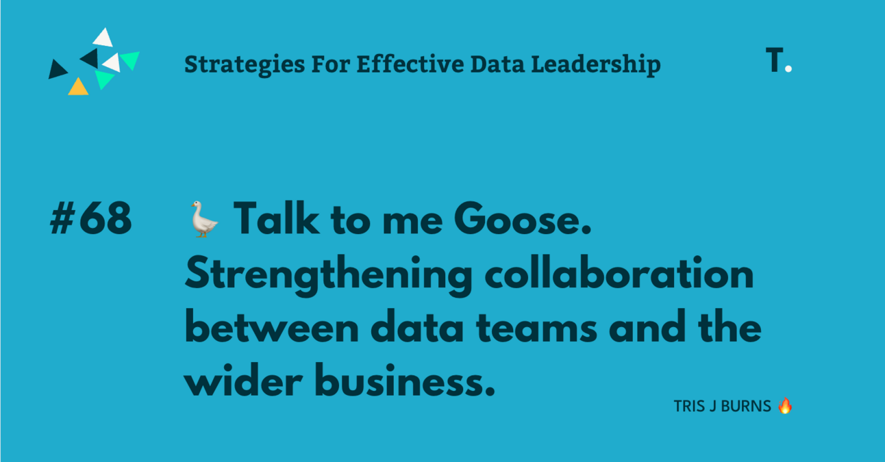 🪿 Talk to me Goose