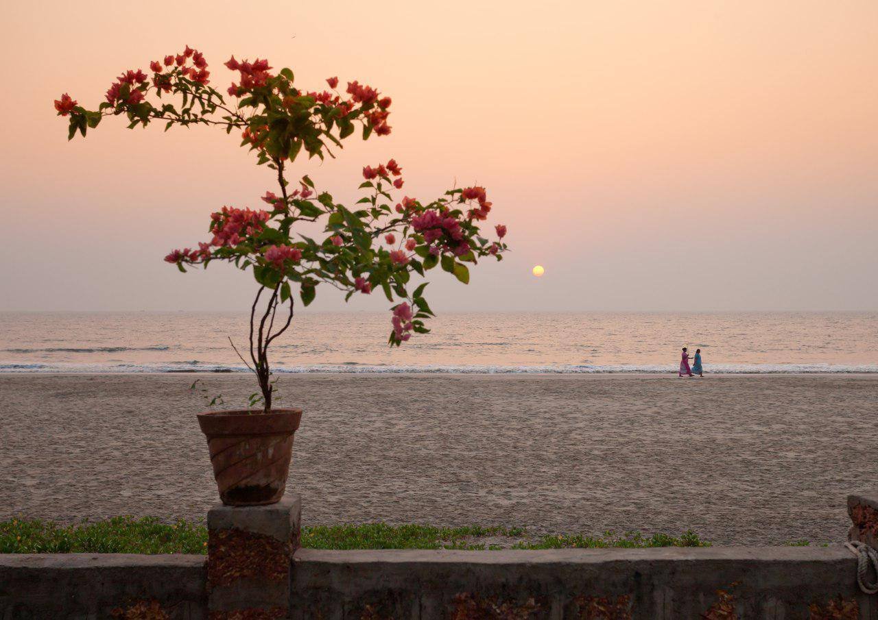 And I Think to Myself, What a Wobbly World...