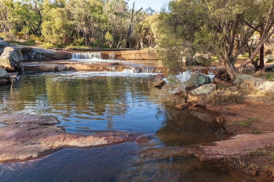 40 of Perth's best brekky spots