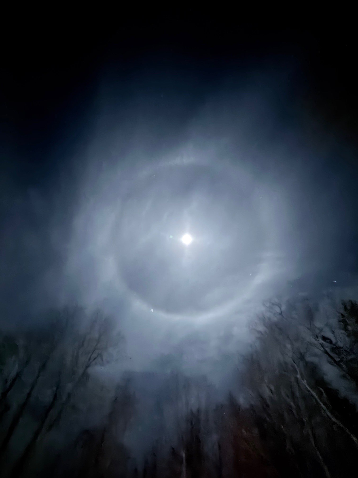 Dear Daybreak 2/5/26