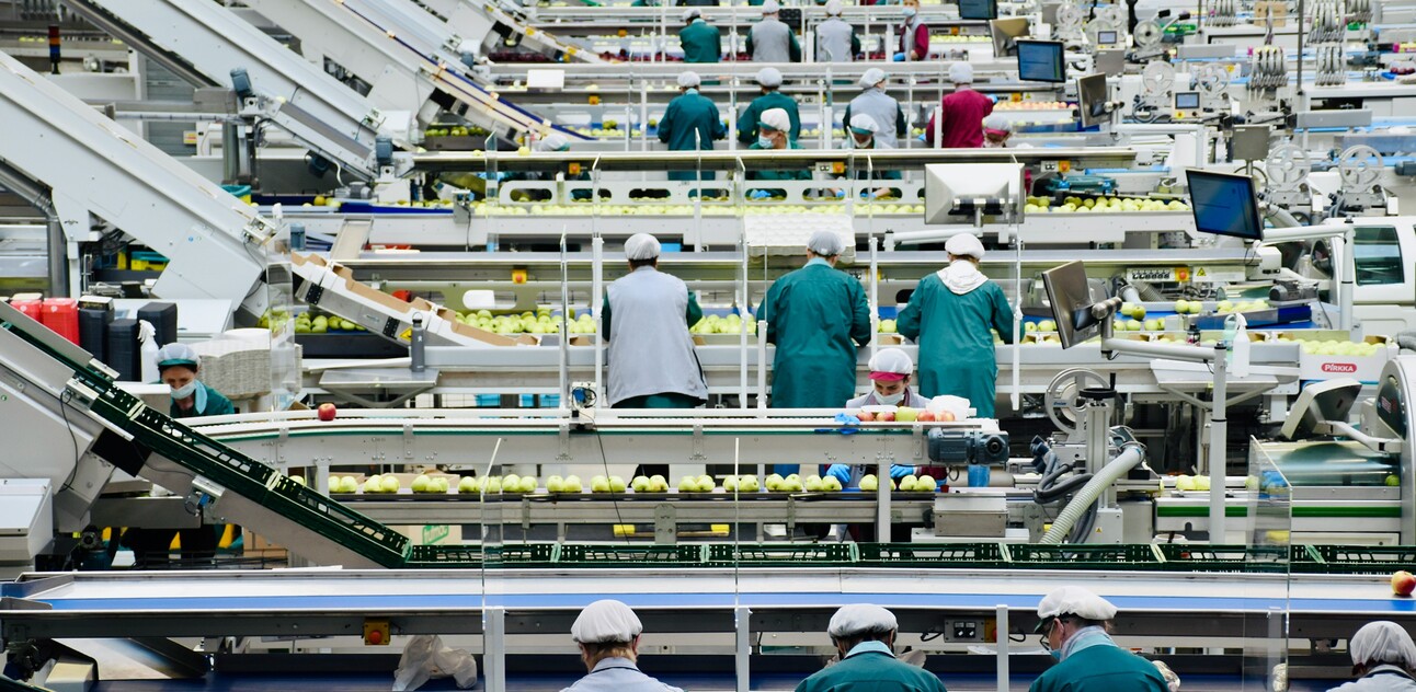 No free lunch for free markets