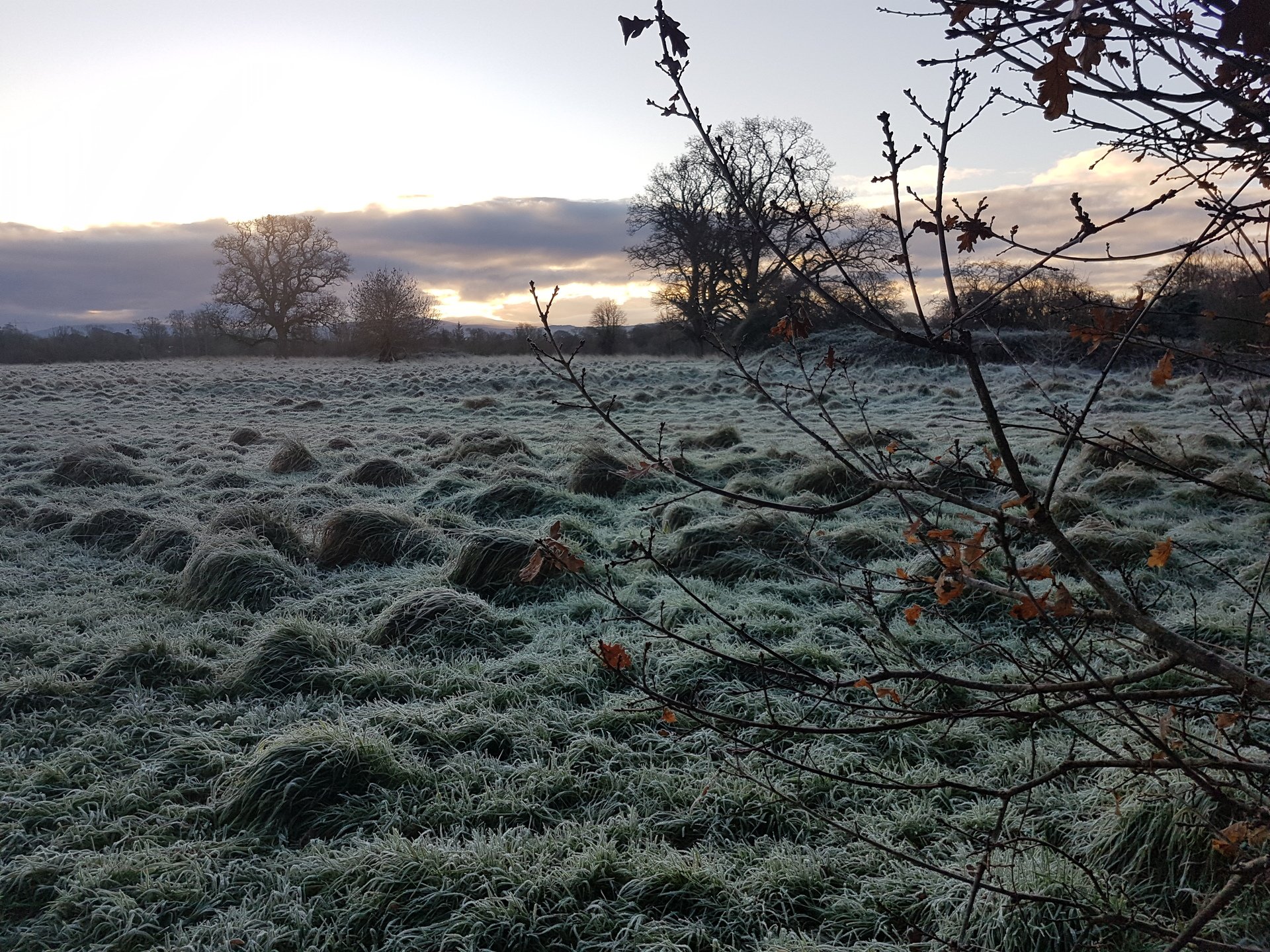 Gentle Decline 2/43: Progress & Persistence